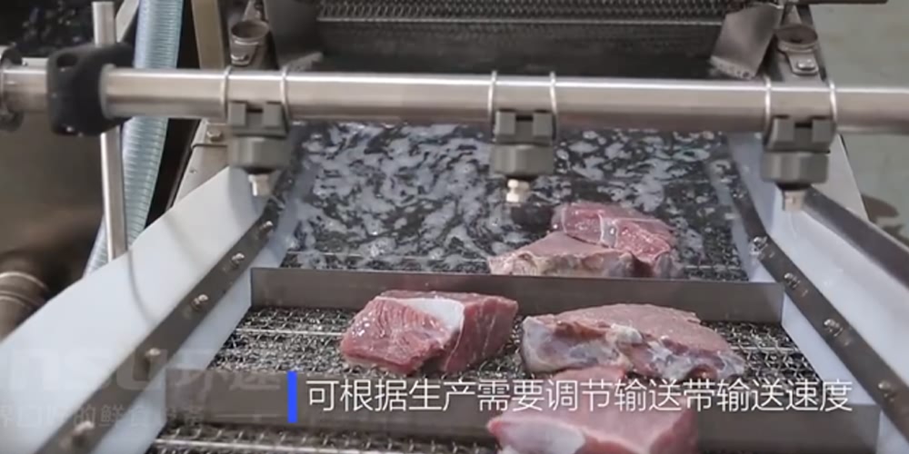 鮮食清洗機(jī)-肉食系列 肉食翻洗機(jī)設(shè)備