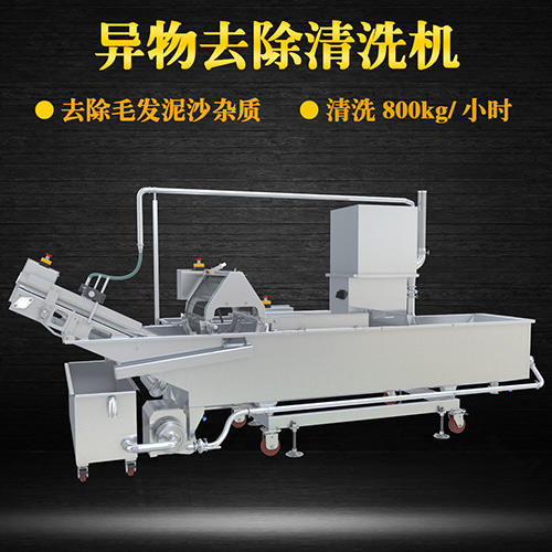 果仁異物去除清洗機(jī)，清洗800kg小時(shí)，果仁異物去除清洗機(jī)