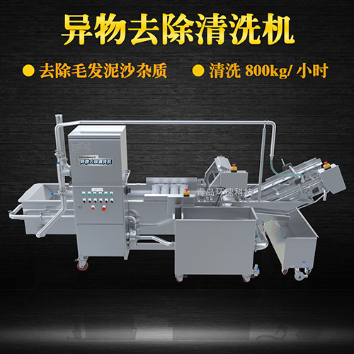 果蔬清洗機(jī)設(shè)備，氣泡清洗，清洗800kg小時(shí)